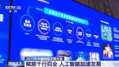 连系大模子进修的